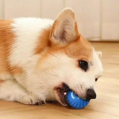 Moving Bouncing Rolling Ball Smart puppy Interactive Dog Chew Toy Ball
