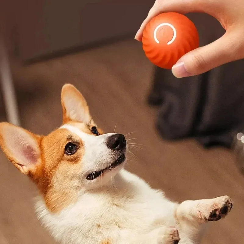 Moving Bouncing Rolling Ball Smart puppy Interactive Dog Chew Toy Ball
