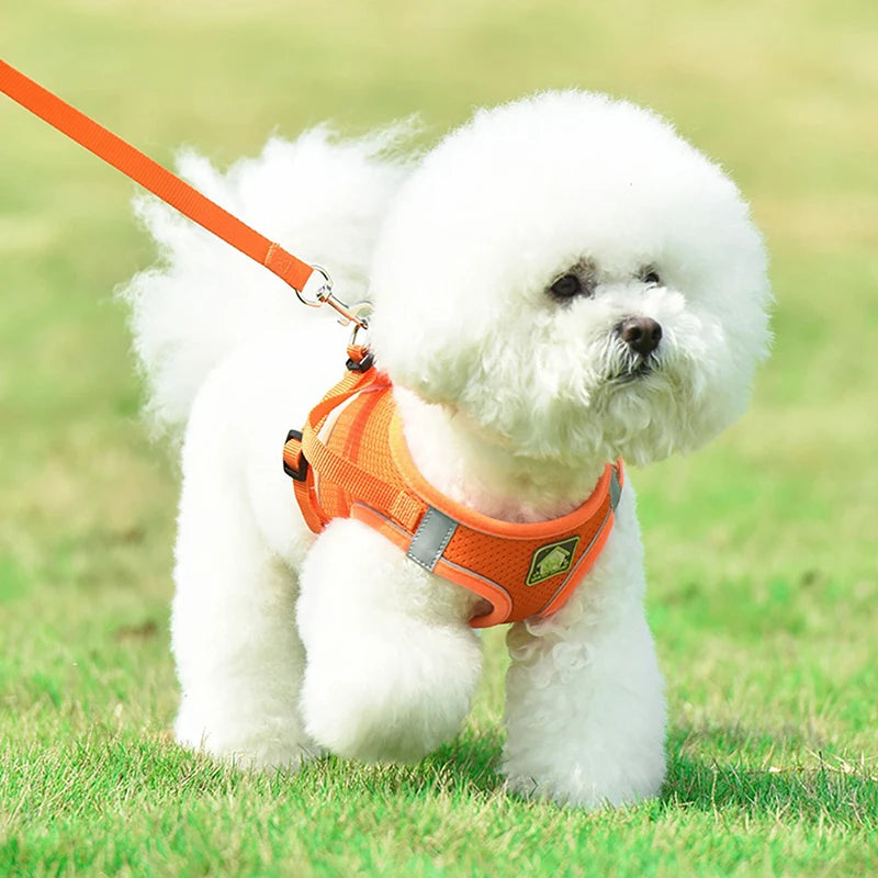 Orange Pink Green Blue Small Dog Large Dog Harness